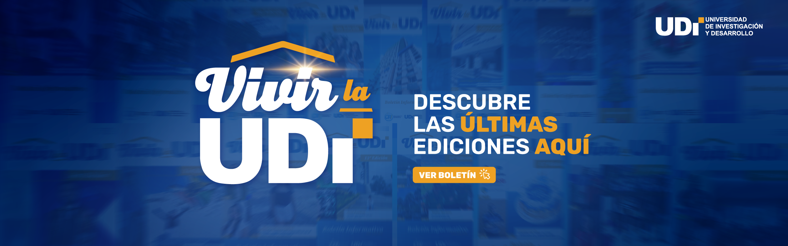 Boletín Vivir la UDI