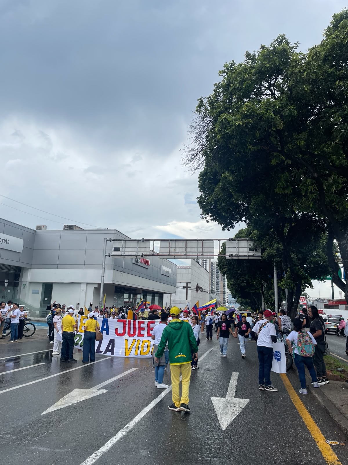 Entre la polarización y la desinformación: el verdadero reto democrático